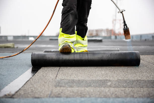 Best Emergency Roof Repair Services  in Albany, MO