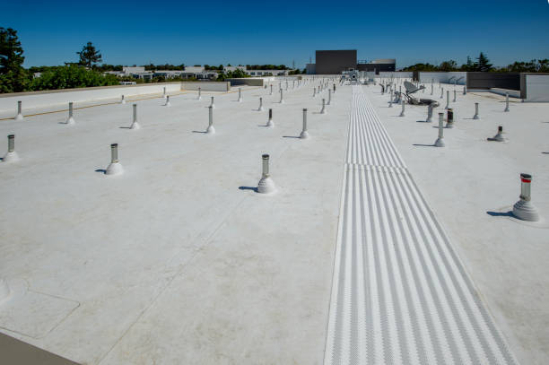 Best 4 Ply Roofing  in Albany, MO
